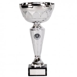 10 Inch Decorative Cup Aim Trophy Cup