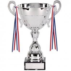 8 Inch Decorative Ribbons and Exquisite Handles Washington Trophy Cup