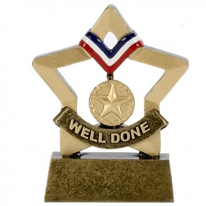 3 Inch Mini Star Well Done Award