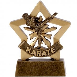 3 Inch Mini Star Male Karate Award