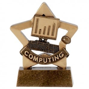 3 Inch Mini Star Computing Award