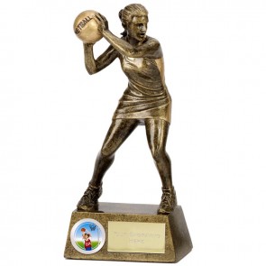 7 Inch Pinnacle Netball Award