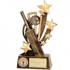 6 Inch Sentinel Cricket Award