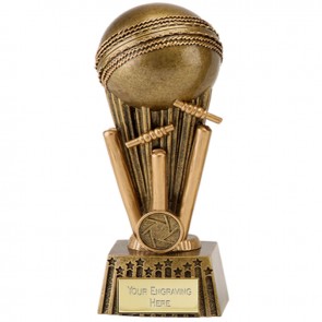 6 Inch Wicket Smash Cricket Focus Award