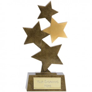 12 Inch Assorted Stars Starburst Star Award