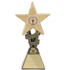 5 Inch Gold Glitter Star Award