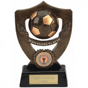7 Inch Managers Player Football Award