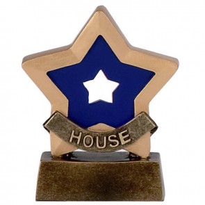 3 Inch Blue House School Mini Star Award