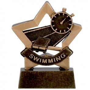 3 Inch Mini Star Swimming Resin Award