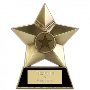 4 Inch Bronze Metal Star Multi Award