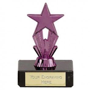 3 Inch Violet Star Micro Star Award