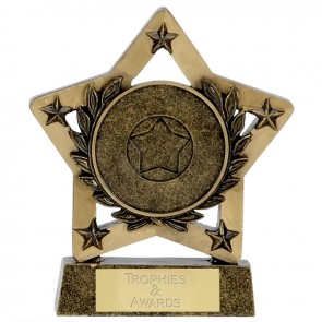 5 Inch Laurel Wreath Star Economy Shield Award
