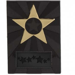 3 Inch Apex Star Plaque Award