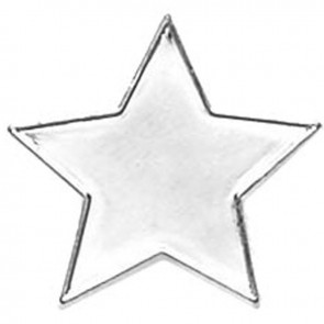 20mm Star Lapel Silver Badge
