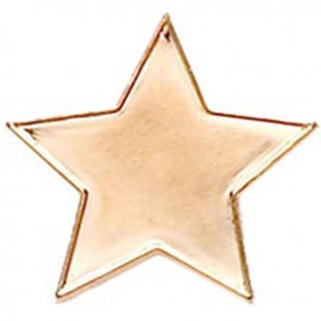 20mm Star Lapel Bronze Badge
