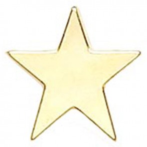 16mm Gold Star Simple Lapel Badge
