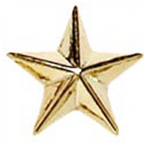 8mm Gold Star Patterned Lapel Badge