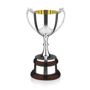 12 Inch Gold Inside & Fluted Stem Prestige Trophy Cup