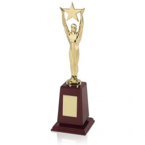 12 Inch Gold Plated Star Figure Achievement Award