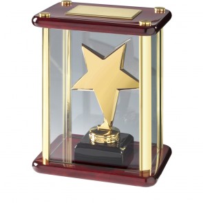7 Inch Gold Finish Cased Timezone Star Award