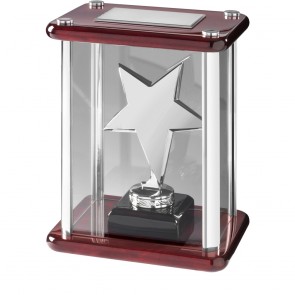 7 Inch Silver Finish Cased Timezone Star Award