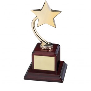 9 Inch Gold Shooting Star On Wooden Base Timezone Star Award