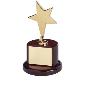 7 Inch Gold Finish In Brown Piano Wood Base Timezone Star Award