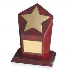 7 Inch Bright Gold Finish & Piano Wood Base Timezone Star Award