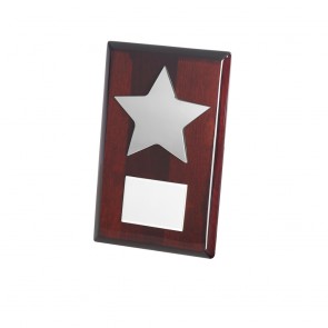 8 Inch Silver Finish Star Timezone Plaque