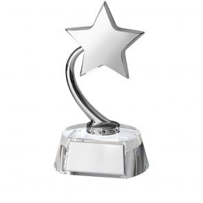 8 Inch Shooting Star With Plaque Timezone Award