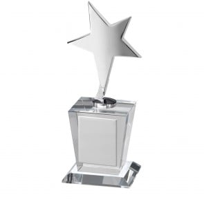 8 Inch Metal Star On Clear Timezone Award