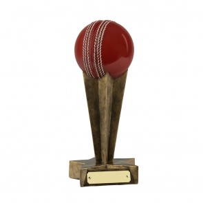 9 Inch 3D Ball Cricket Resin Award