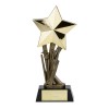 9 Inch Shooting Star Cricket Award