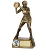 6 Inch Pinnacle Netball Award