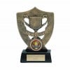 5 Inch Shield And Trophy Sports Day Award