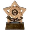3 Inch Mini Star Merit Award
