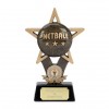 7 Inch Ball In Star Netball Award