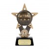 7 Inch Ball In Star Netball Award