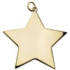 5cm Gold Small Star Medal