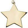 6cm Gold Medium Star Medal
