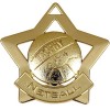 60mm Gold Mini Star Netball Medal