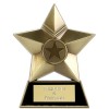 4 Inch Bronze Metal Star Multi Award