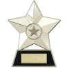 4 Inch Silver Metal Star Multi Award