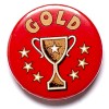 1 Inch Gold Cup Pin Badge
