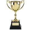 7 Inch Gold Finish Cup on Heavyweight Base Recognition Trophy Cup