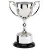 9 Inch Silver Cast Metal Cup on Silver Plinth Recognition Trophy Cup