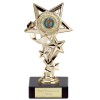 6 Inch Gold Centre Holder Star Cascade Award
