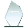 8 Inch Shard Design Paragon Jade Glass Award