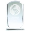 8 Inch Bevelled Edge Essence Glass Award