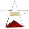 4 Inch Fire Star Crystal Award